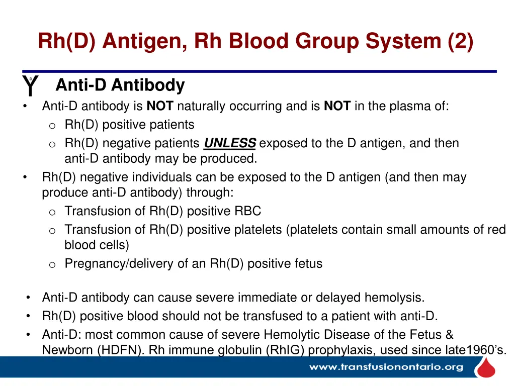 rh d antigen rh blood group system 2