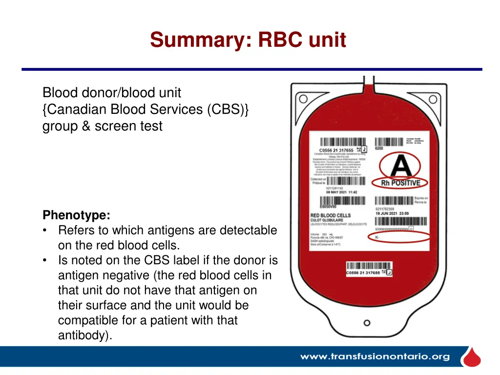 summary rbc unit