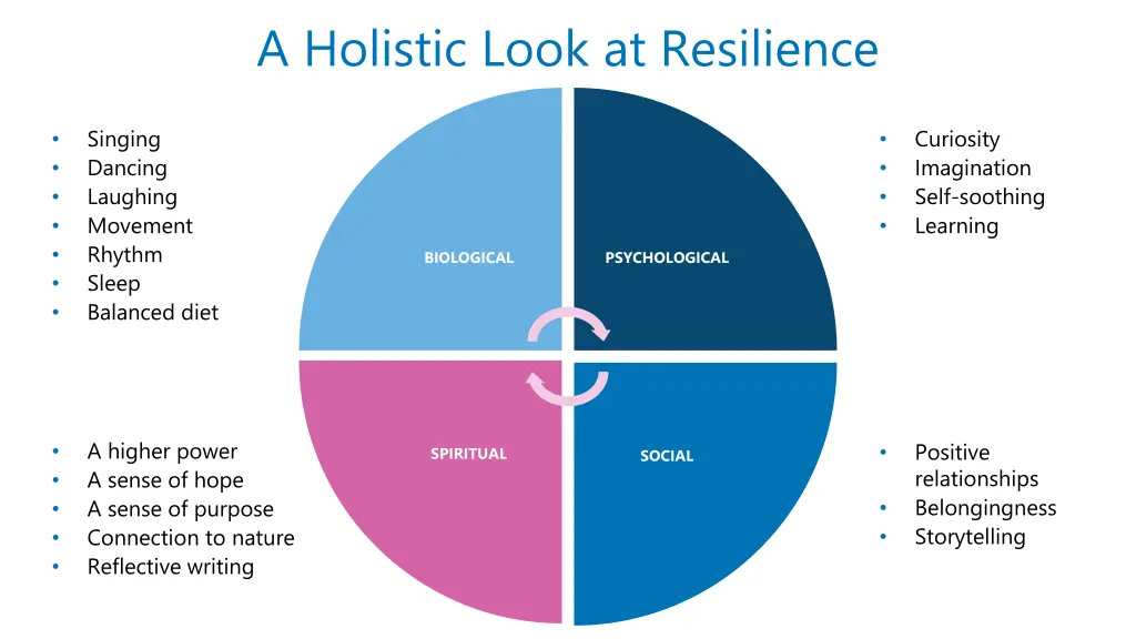 a holistic look at resilience