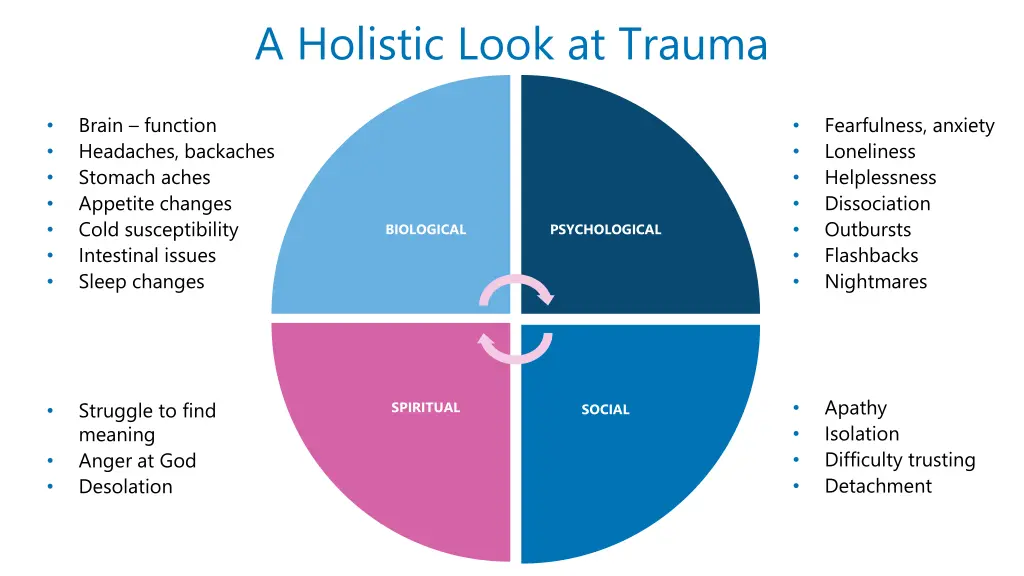 a holistic look at trauma