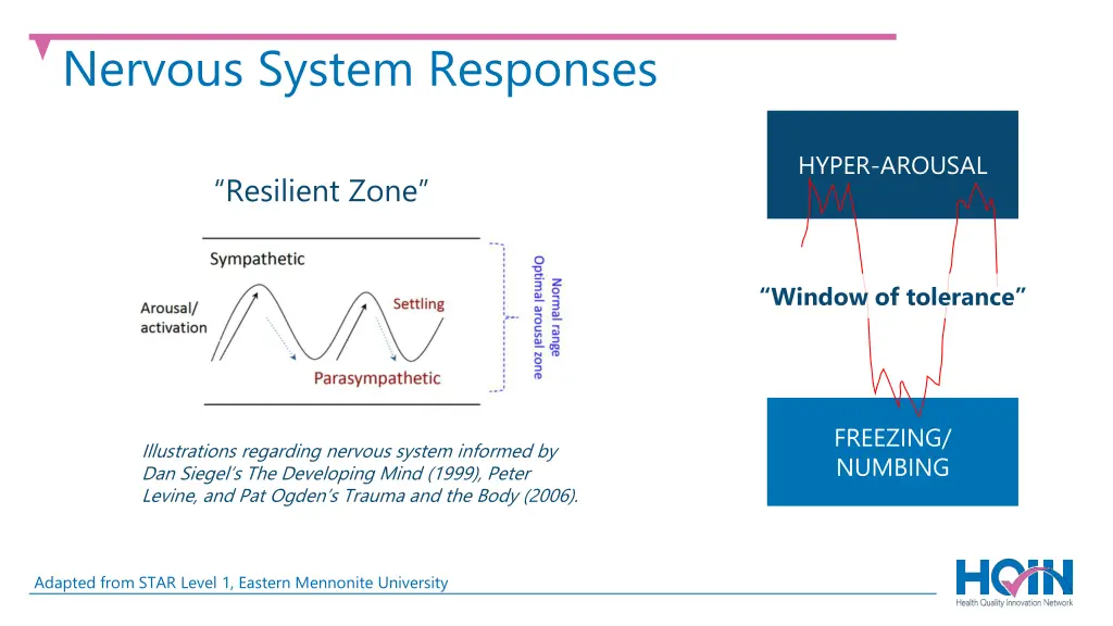 nervous system responses