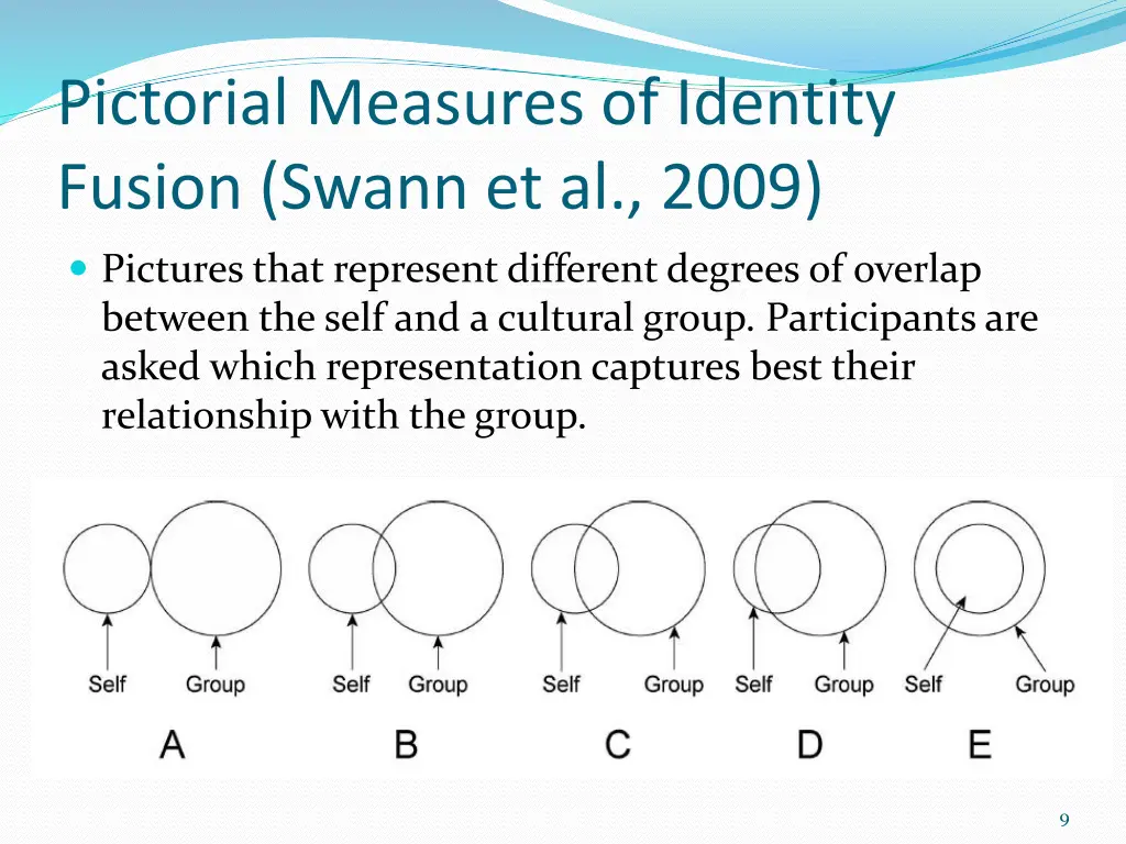 pictorial measures of identity fusion swann