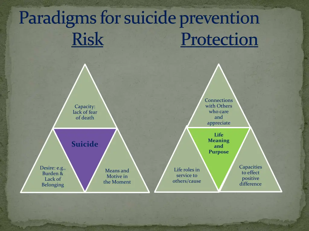 paradigms for suicide prevention risk