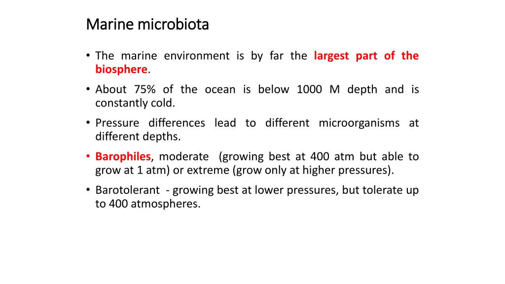 marine microbiota marine microbiota