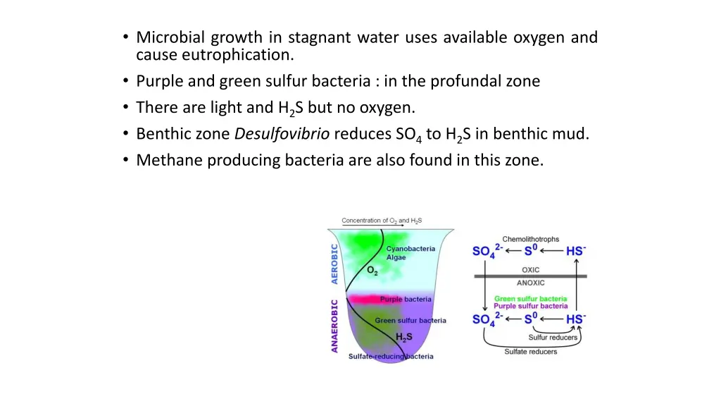 microbial growth in stagnant water uses available