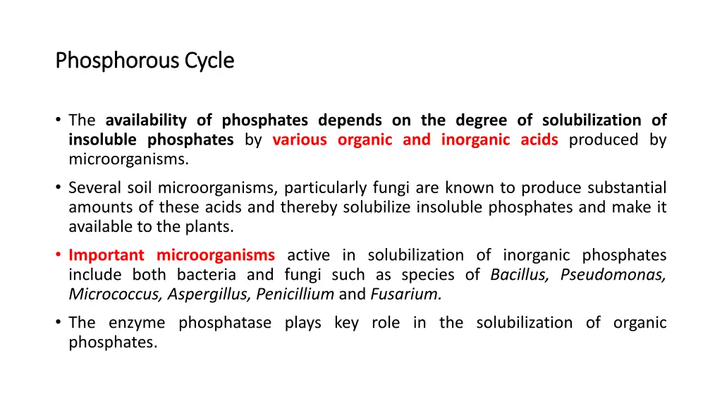 phosphorous cycle phosphorous cycle 2