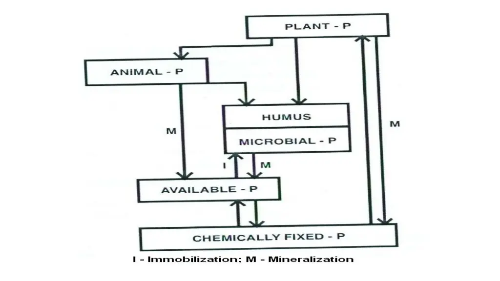 slide14