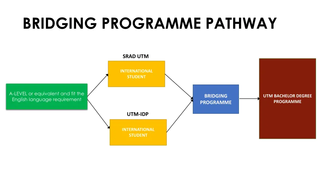 bridging programme pathway