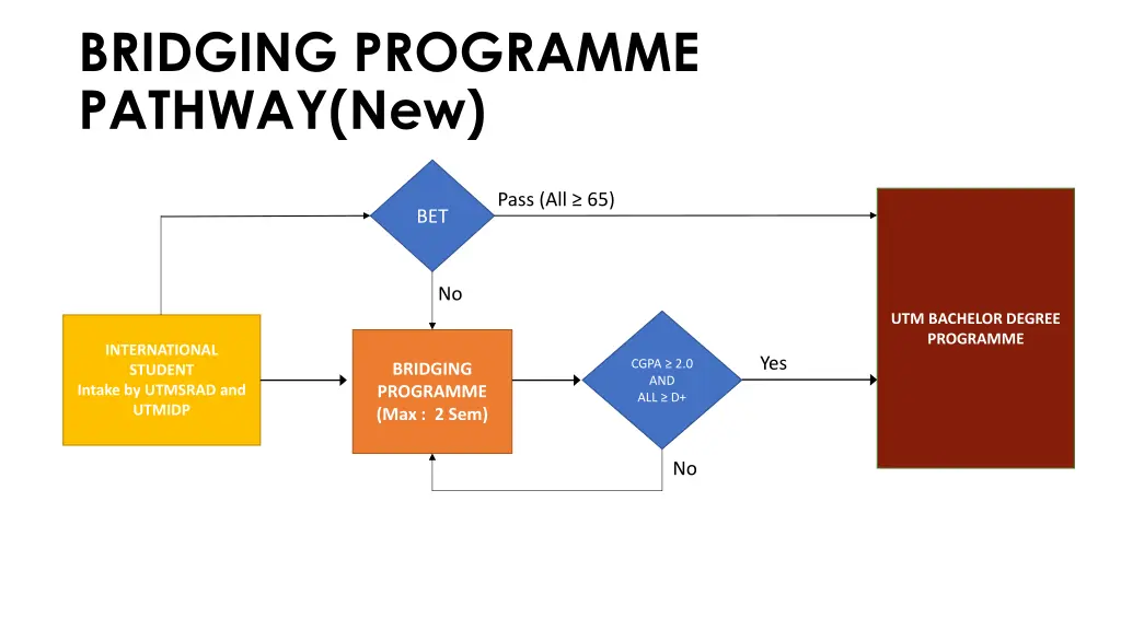 bridging programme pathway new