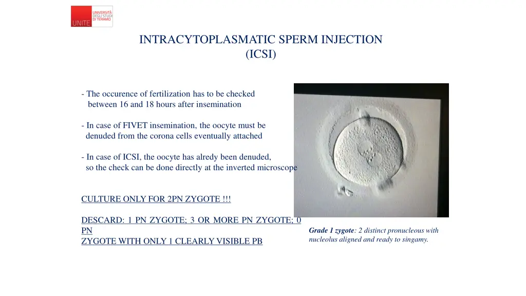 intracytoplasmatic sperm injection icsi 1