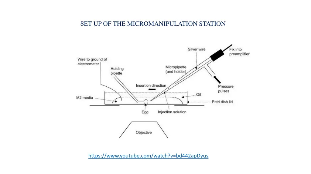 set up of the micromanipulation station 1