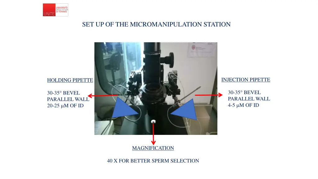 set up of the micromanipulation station