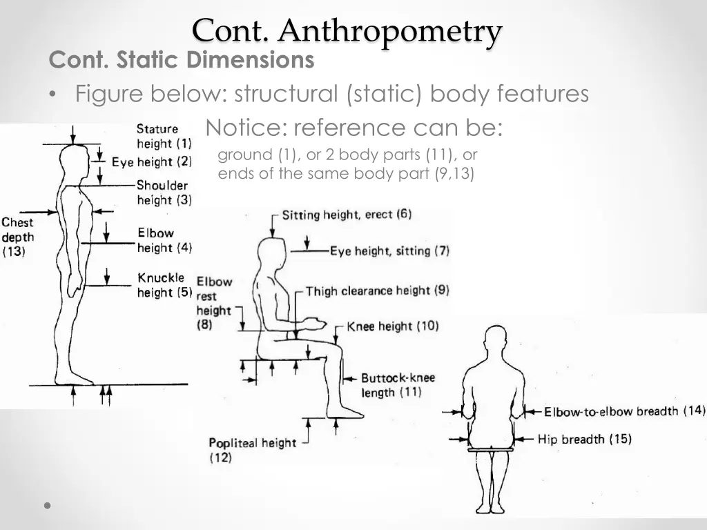 cont anthropometry cont static dimensions figure