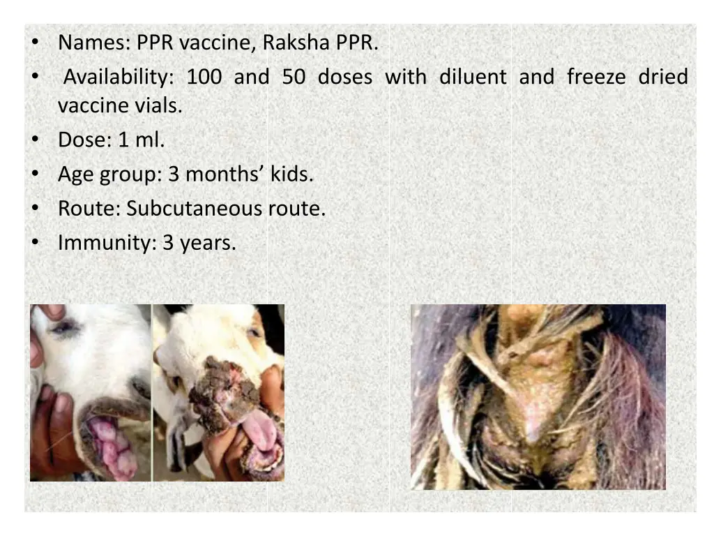 names ppr vaccine raksha ppr availability