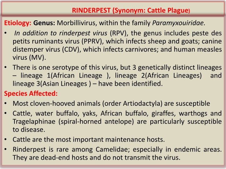 rinderpest synonym cattle plague