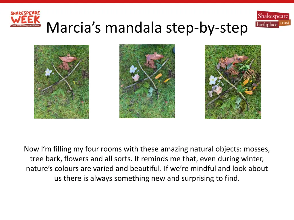 marcia s mandala step by step 1