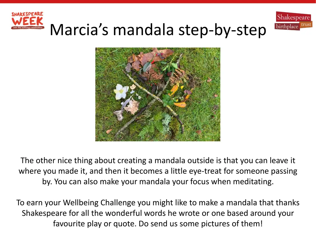 marcia s mandala step by step 2