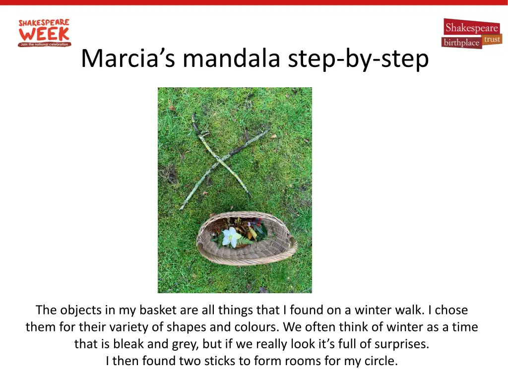 marcia s mandala step by step