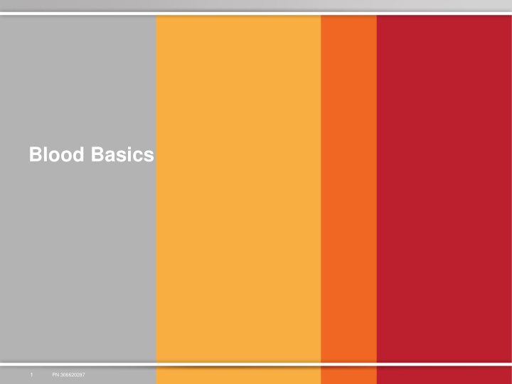 blood basics