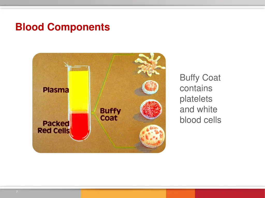 blood components 1