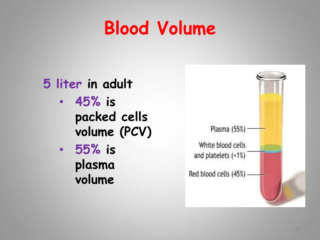 blood volume