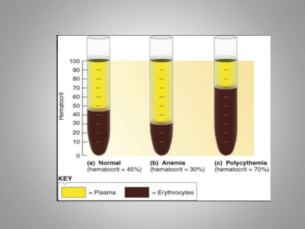 slide11