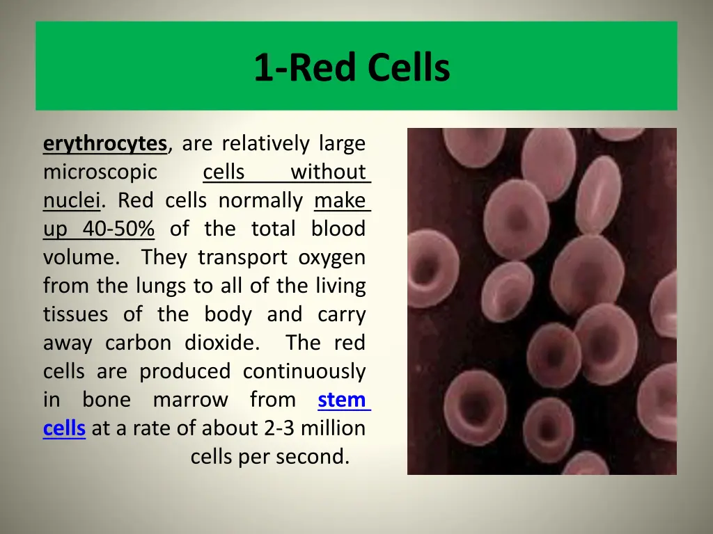 1 red cells