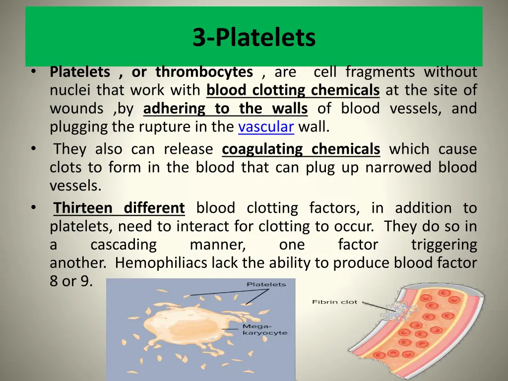 3 platelets