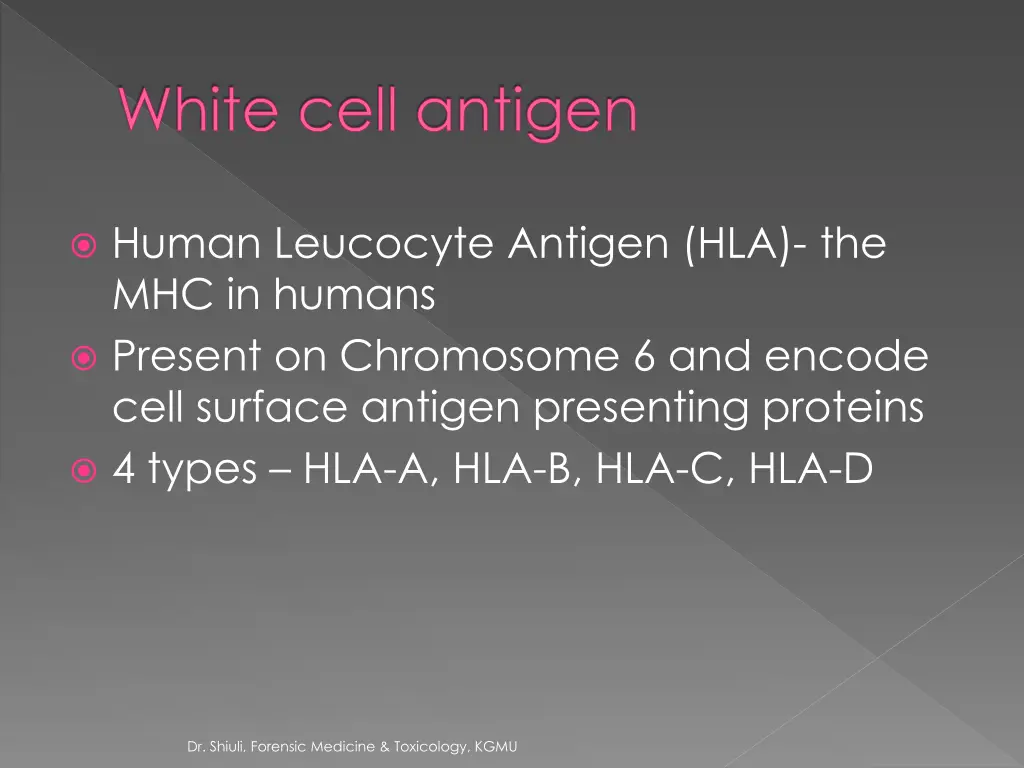 white cell antigen