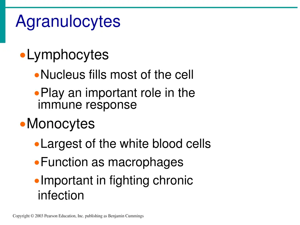 agranulocytes