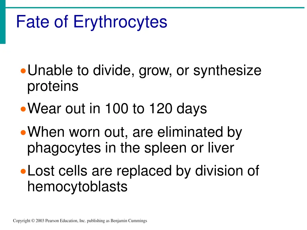 fate of erythrocytes