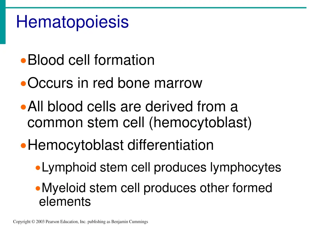 hematopoiesis