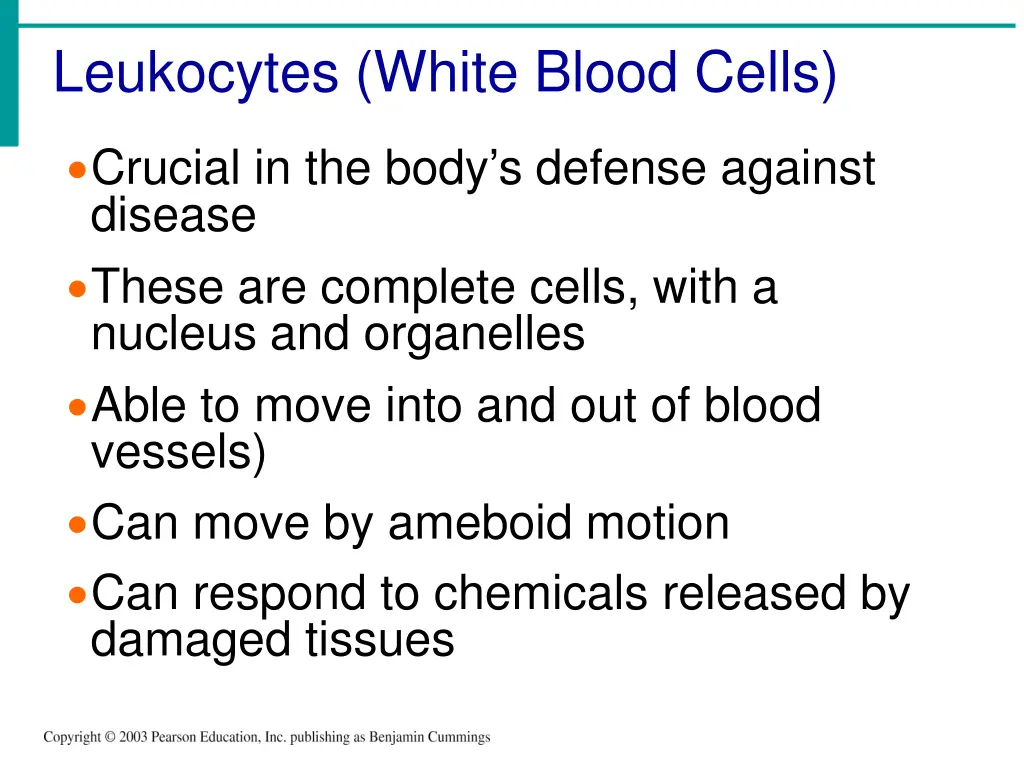 leukocytes white blood cells