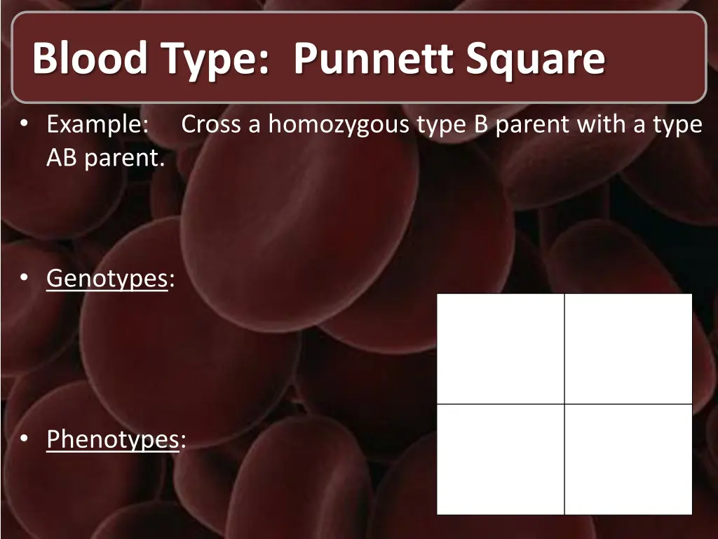 blood type punnett square 1