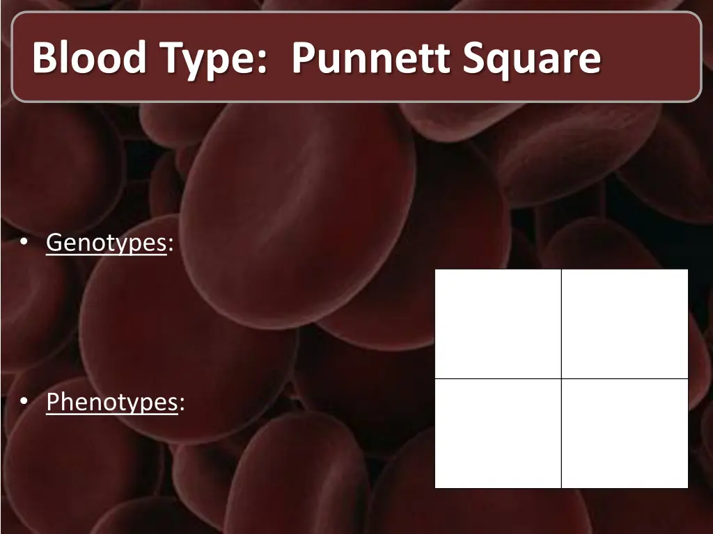 blood type punnett square 2