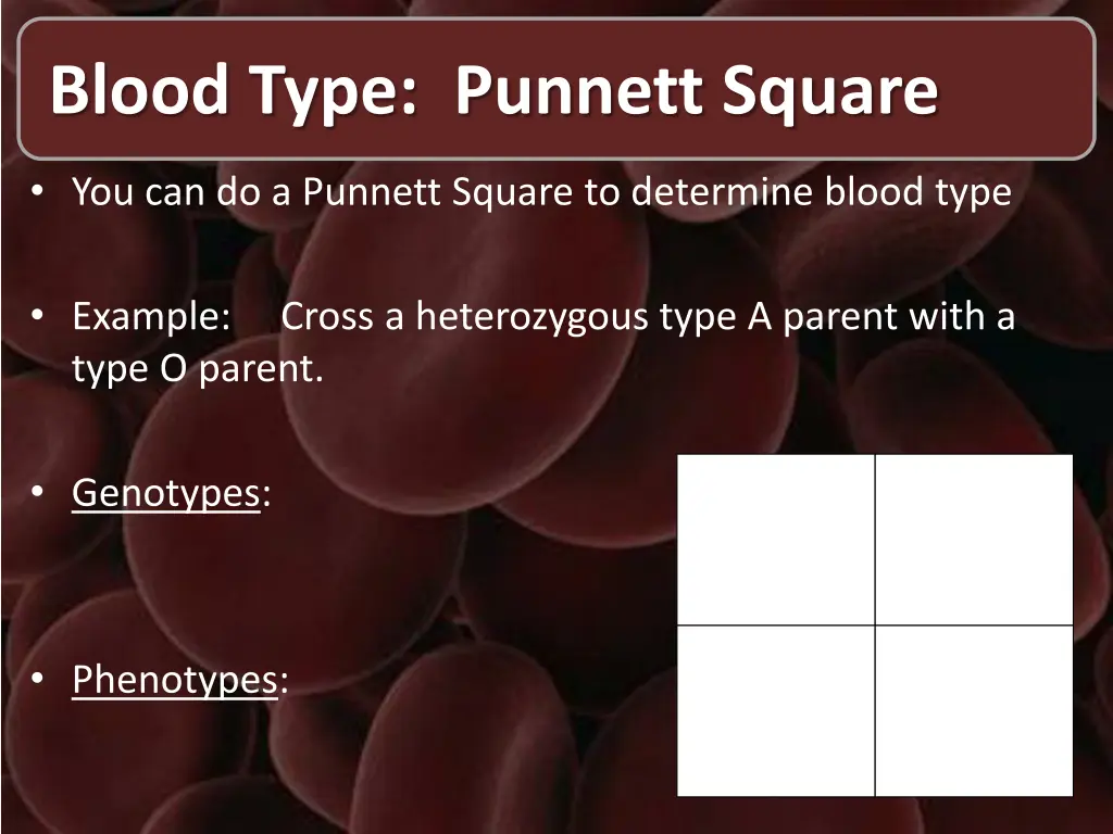 blood type punnett square