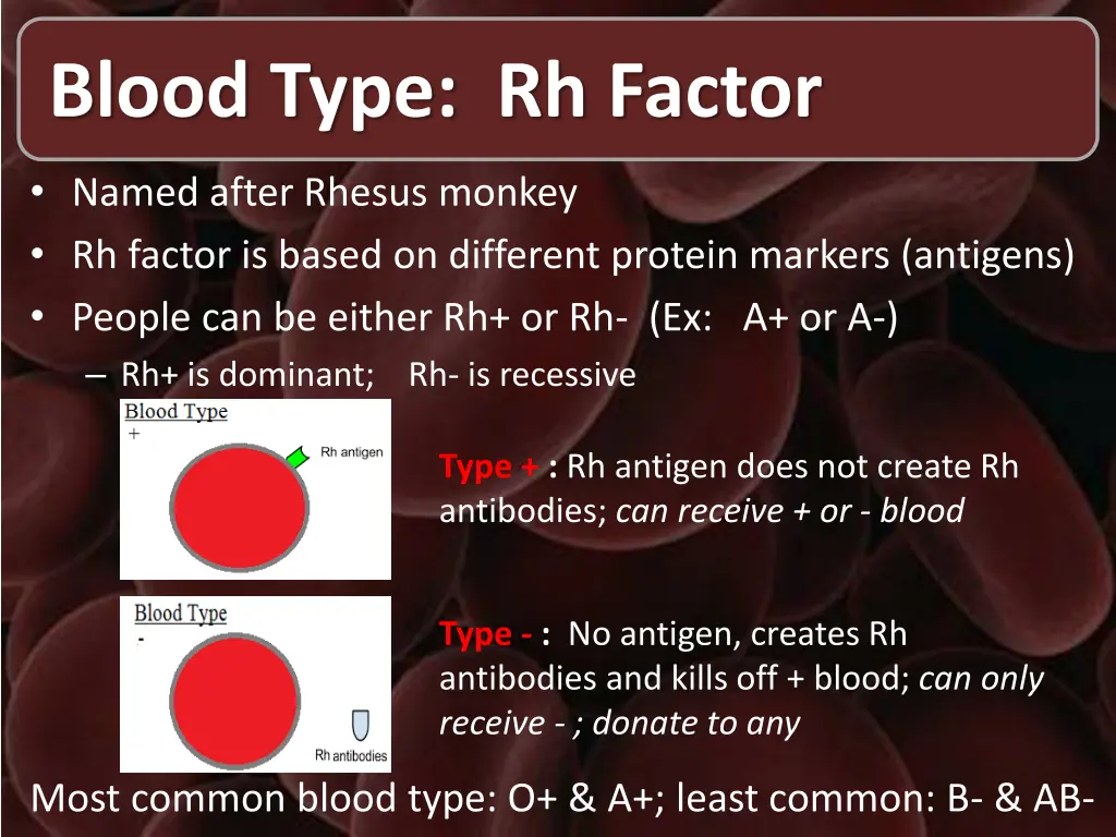 blood type rh factor