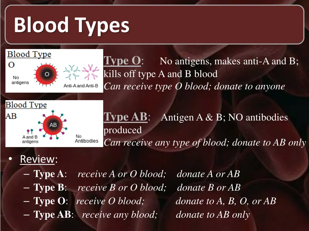 blood types 1