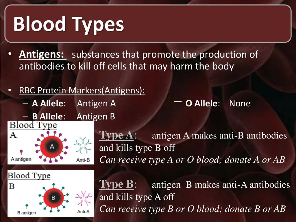 blood types