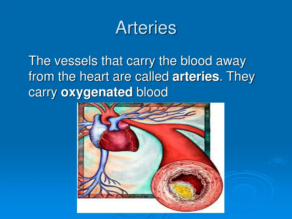 arteries