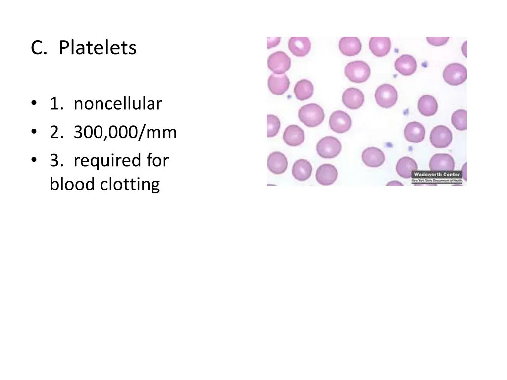 c platelets