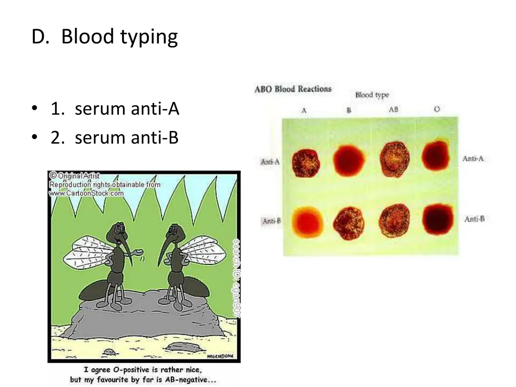 d blood typing