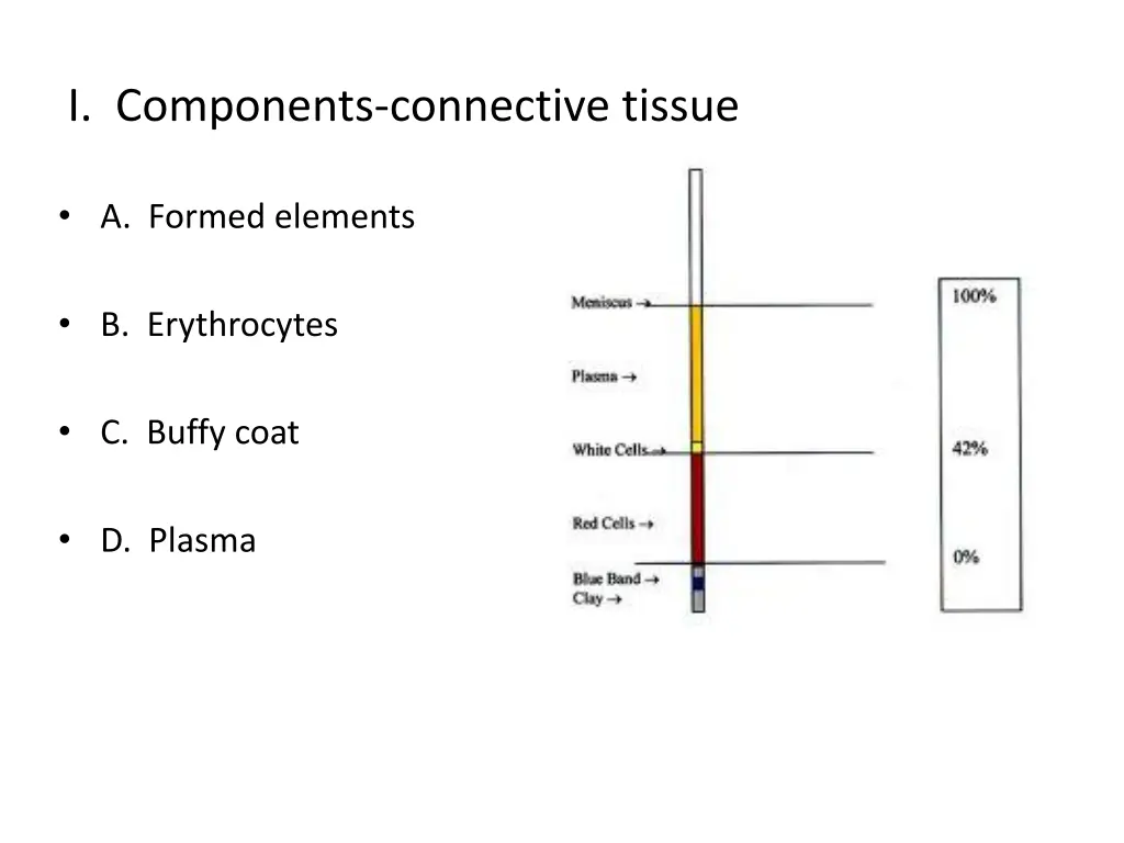 i components connective tissue