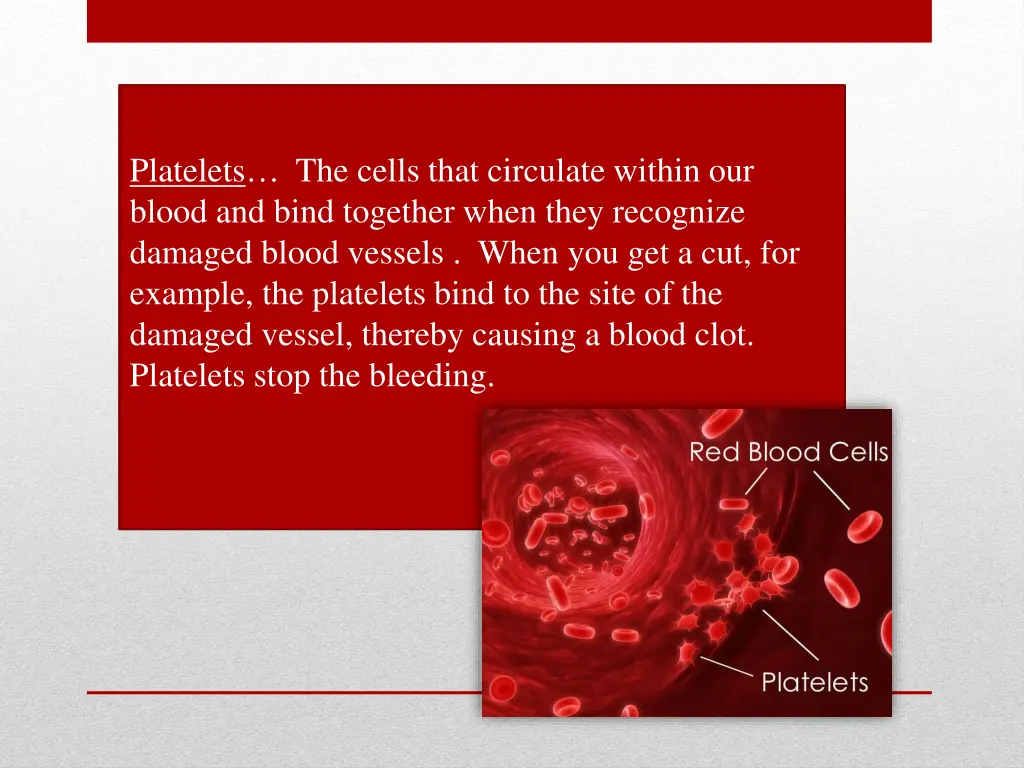 platelets the cells that circulate within