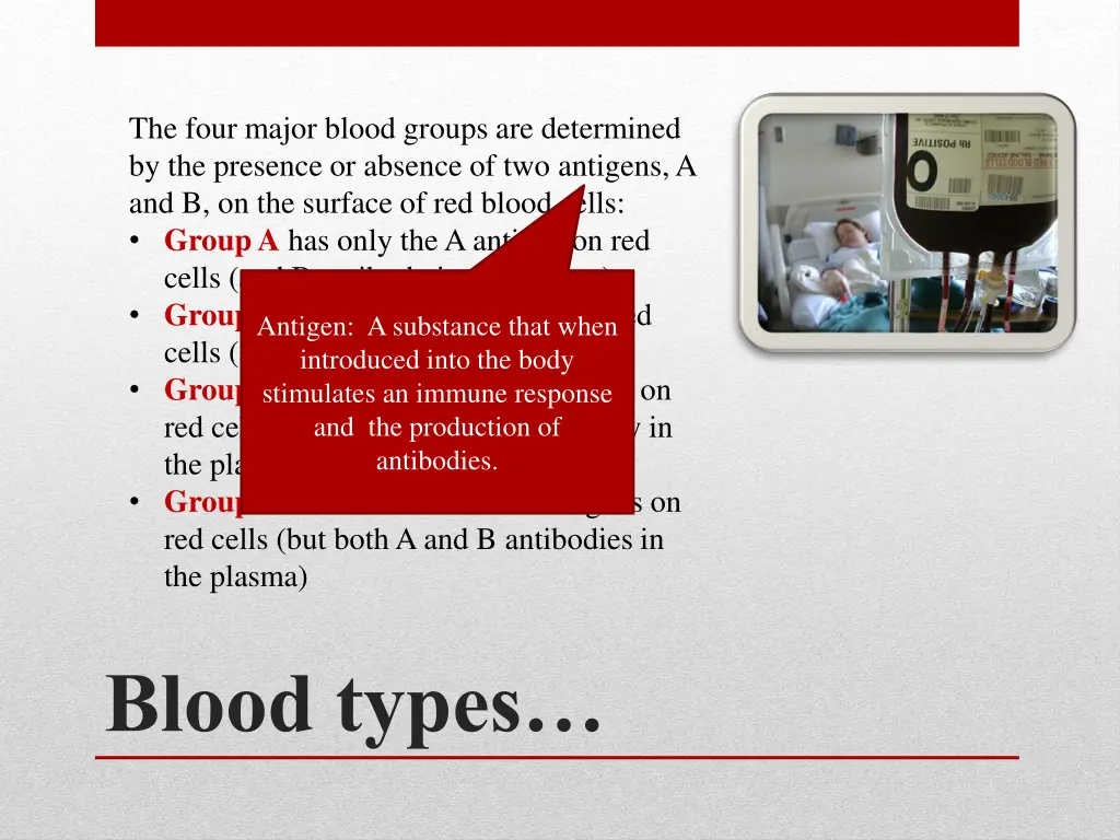 the four major blood groups are determined