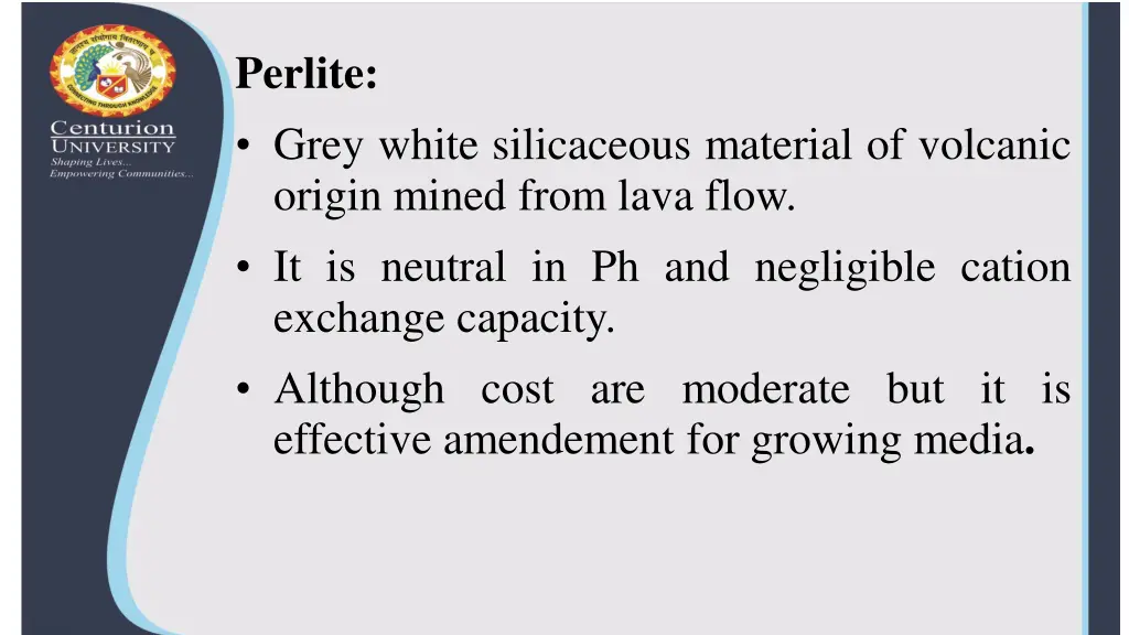 perlite grey white silicaceous material