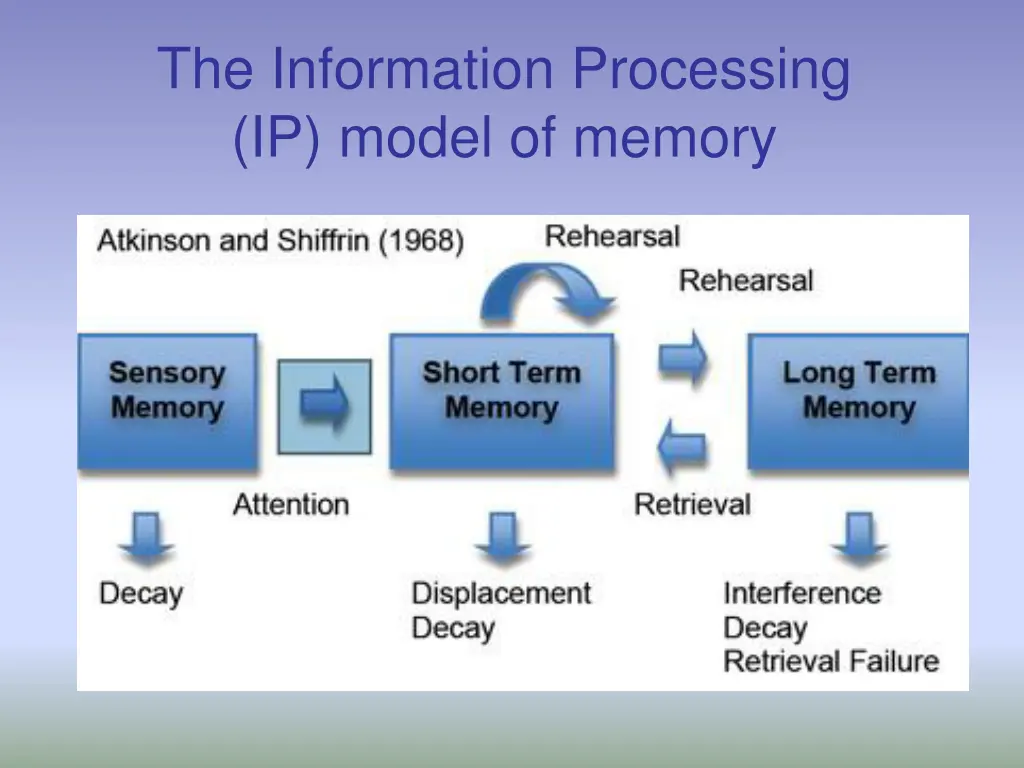 the information processing ip model of memory