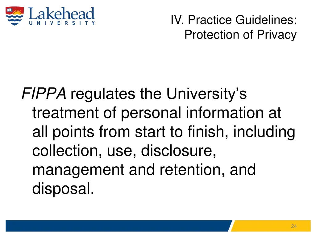 iv practice guidelines protection of privacy