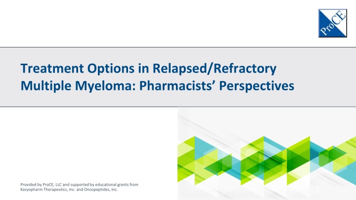 treatment options in relapsed refractory multiple