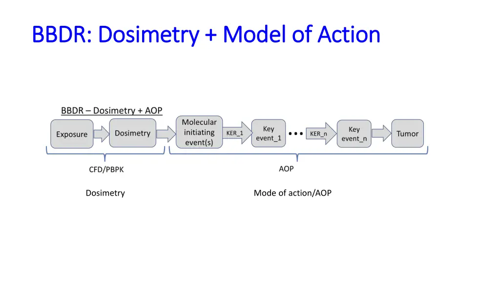 bbdr dosimetry model of action bbdr dosimetry